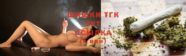 mdpv Богданович