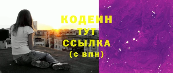 ешки Бородино