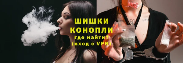 mdpv Богданович