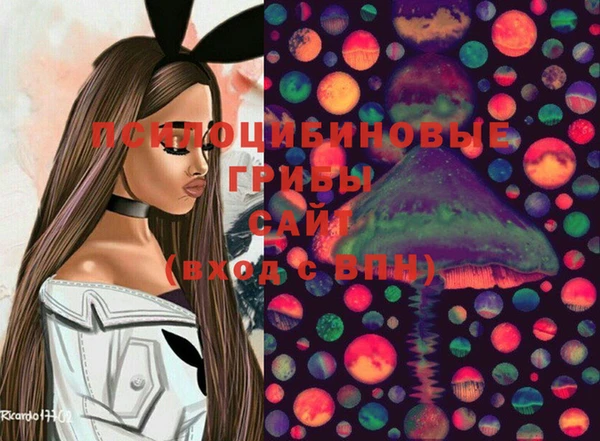 jwh Богородск