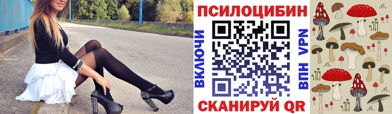 Галлюциногенные грибы Psilocybine cubensis  наркотики  Химки 